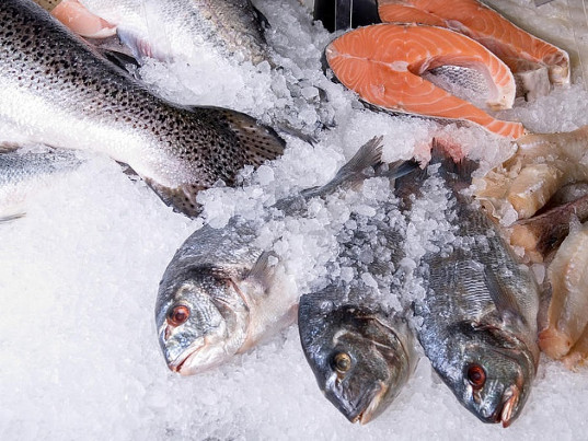 На 19,4 млн долларов рыбопродукции оформила на экспорт Камчатская таможня с начала 2018 года 