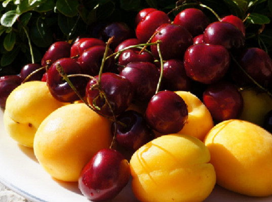 Черешню, абрикосы и томаты из Казахстана задержали на границе Оренбургской области