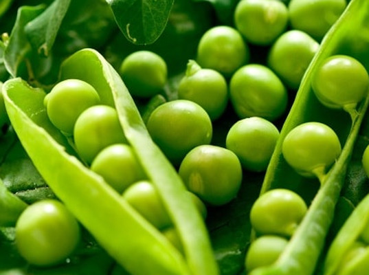 Алтайский горох впервые отправился в Индию