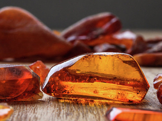 Янтарь пытался вывезти гражданин Китая через пункт пропуска Нижнеленинское 