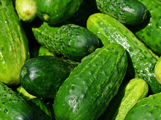 20 тонн огурцов не допущены в Алтайский край