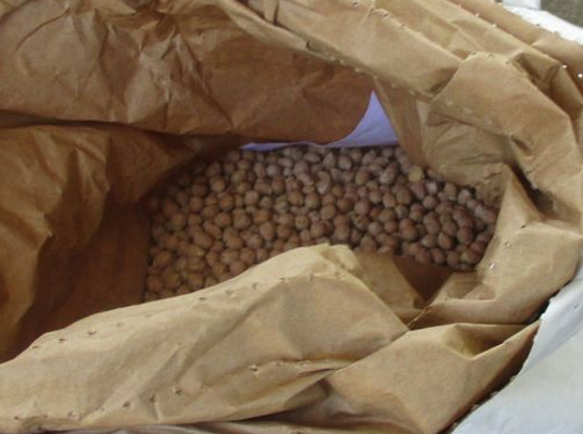 Краснодарские таможенники уничтожили около 200 килограммов нута итальянского происхождения