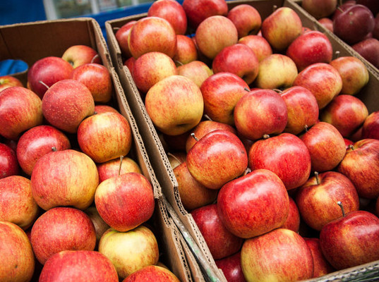 Попытка ввоза 150 тонн санкционных яблок обернулась их уничтожением