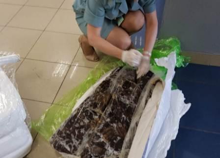 92 килограмма незаконно вывозимой кукумарии обнаружили сахалинские таможенники