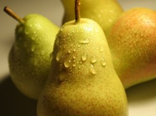 На трассе в Тверской области задержали грузовик с запрещенной продукцией