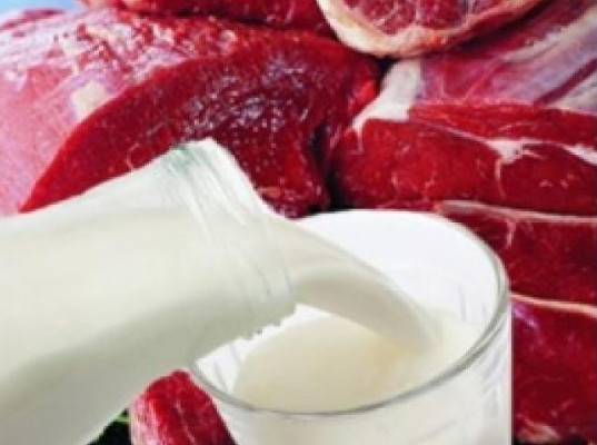 Россия и Белоруссия согласовали прогнозные балансы по мясу, молоку и сахару