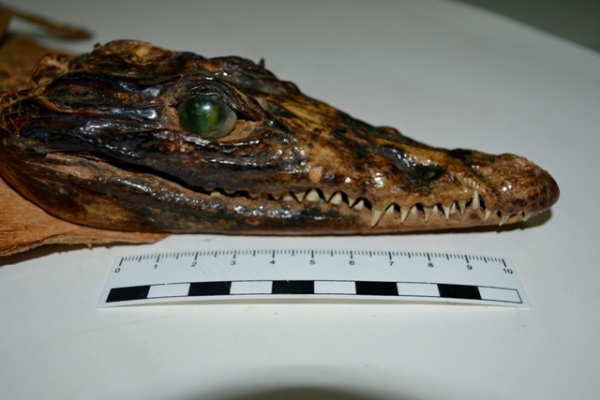 2018-05-22_rost_crock_02