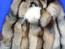 Двум братьям не удалось улететь на море с 13 шубами