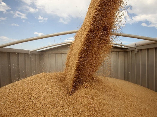 РЖД начали перевозить зерно в контейнерах из-за дефицита вагонов