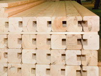 Контрабанду лесоматериалов стоимостью 7 млн рублей выявили находкинские таможенники 