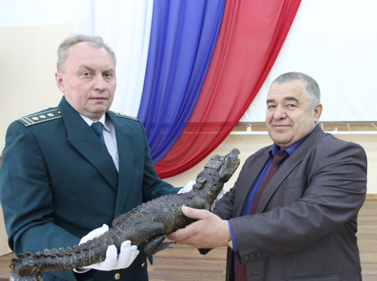 Самарские таможенники подарили детскому центру чучело крокодила 