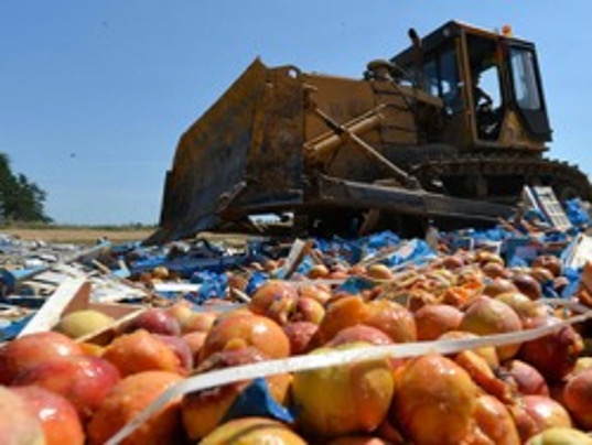 Утвержден порядок изъятия и уничтожения должностными лицами Роспотребнадзора запрещенной к ввозу в РФ санкционной продукции
