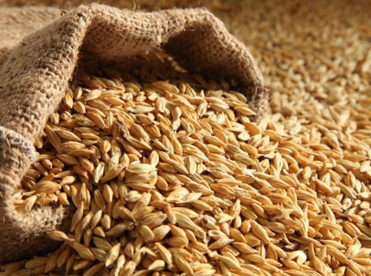 Россия экспортировала свыше 44 млн тонн зерна 