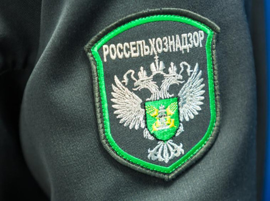 Крупная партия кофе отправится обратно в Гондурас