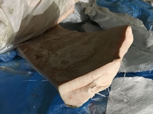 Балтийская таможня пресекла ввоз 18 тонн немаркированного шпика