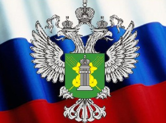 Россельхознадзор сообщает о формальном подходе к ветеринарной сертификации службами Санкт-Петербурга и Ленинградской области