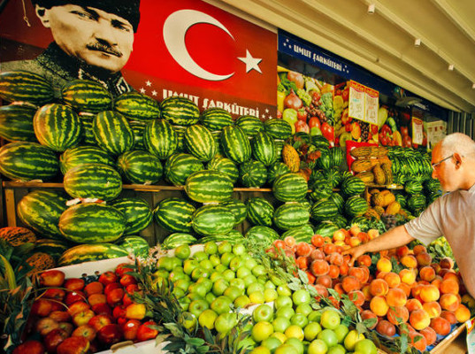 Импортерам турецкой плодоовощной продукции предложили предварительно информировать через модуль ФГИС &laquo;Аргус-Фито&raquo;